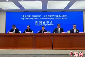 西藏民主改革65周年拉萨发展取得重大成效图片