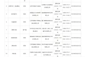 2024进口网络游戏审批更新，无畏契约手游版过审图片