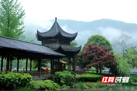 【“五一”游张家界】景美游人欢，张家界黄龙洞景区雨中迎来客流高峰图片