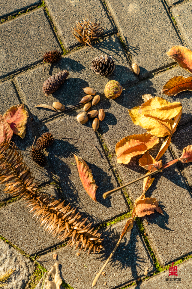 抓住晴天尾巴，徒步青龙山！