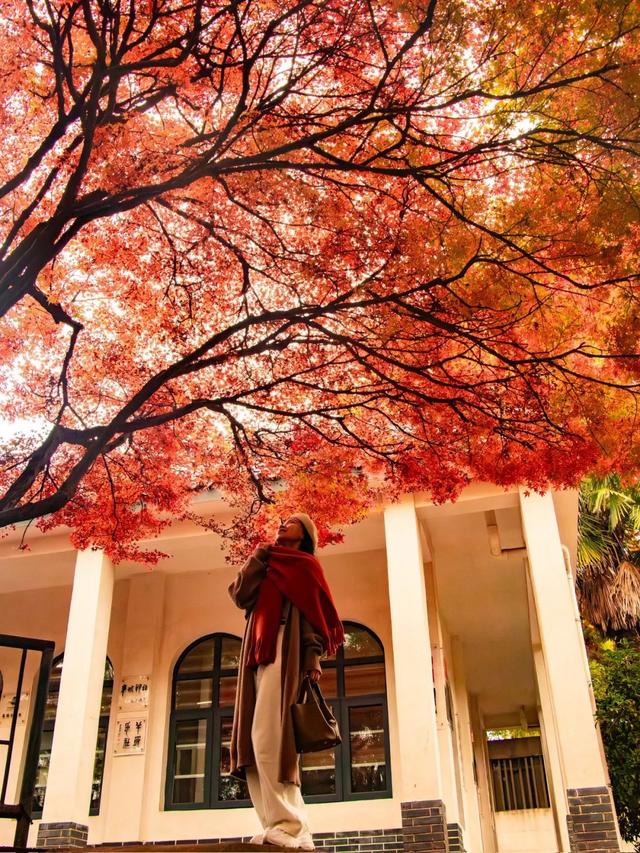 走进西安4大免费开放的宝藏公园