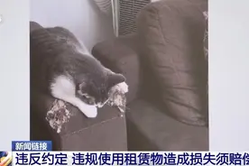 退租后房东不退押金？物品损耗谁承担？法官详解房屋租赁纠纷图片