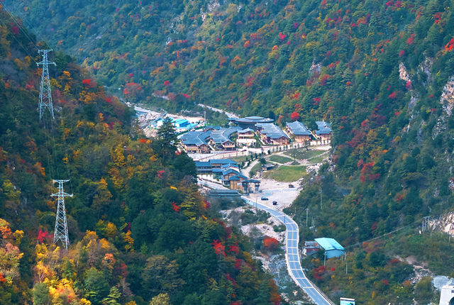 青睐绵阳 ‖ 红透了！周末去平武，沿着“百里彩林走廊”看一场雪山彩林“大片”~