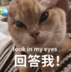 海口即将加入“降温群聊”