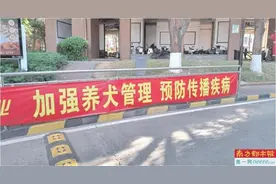 东莞一宠物狗两周咬伤三小孩图片