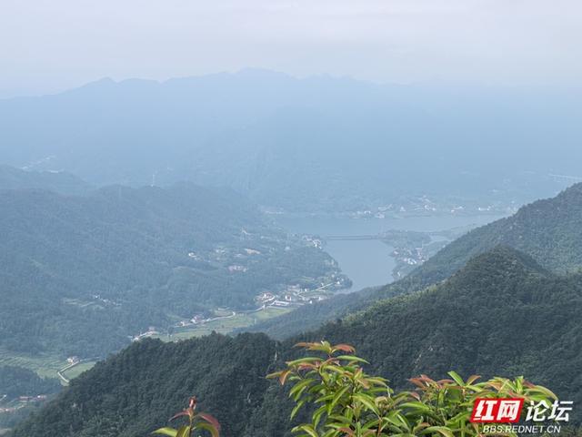 山上烟火起，山下稻金黄｜夏日寻凉九龙山