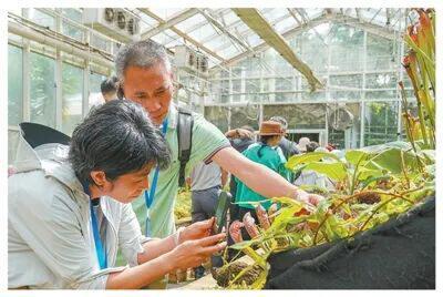 人民日报点赞昆明“扶荔宫”温室群