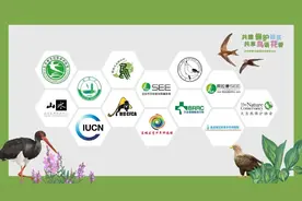 北京市第42个“爱鸟周丨观鸟护鸟联合倡议书图片