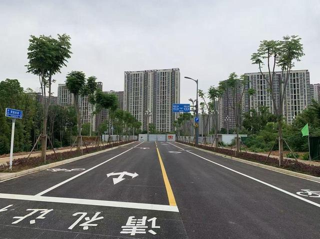 九派早读 | 武汉东湖首次开通“观鸥专线”