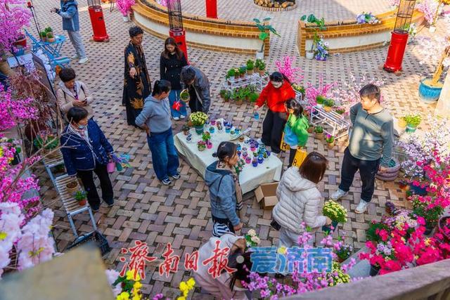 藏在济南的春日秘境！九如山繁花漫卷，解锁泉城踏青新方式