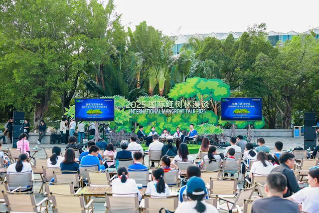 来！漫步2025国际红树林之夜，共赴“红树林+”生态盛会