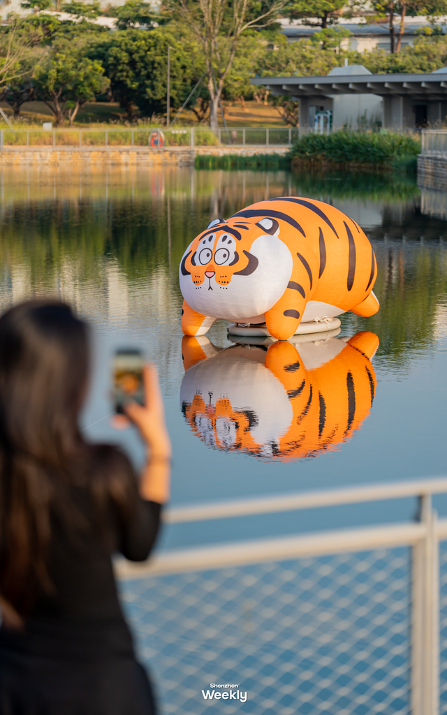 出发！去深圳最特别的「胖虎主题市集」，逛吃一天