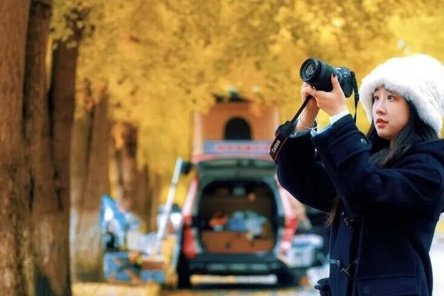 一年一度朋友圈银杏比美时刻，又！来！了！