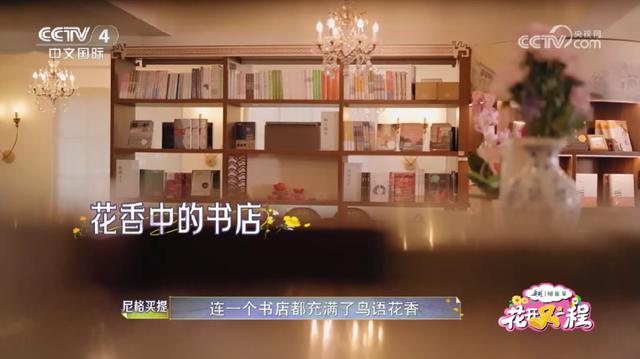 白天漫步、晚上看live！这些宝藏打卡地，央视严选