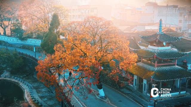瞰中国｜福建屏南：廊桥乌桕