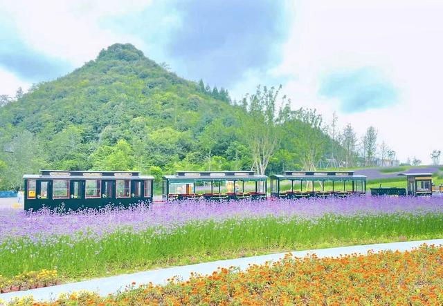 毕节市七星关区鸡鸣三省、百里杜鹃彝山花谷拟升国家4A级景区