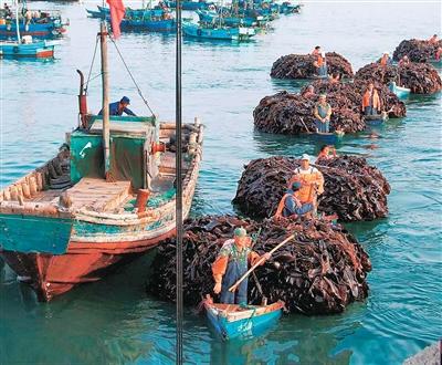 “来长岛，把日子过成诗”（屿见中国）