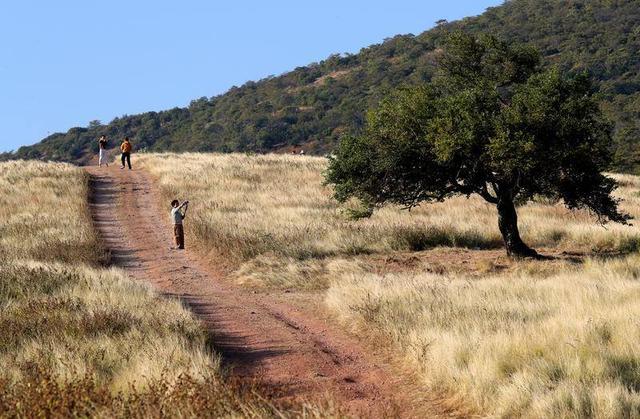 暖游玉溪元江体验“中国萨王纳”的旷野魅力