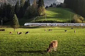 一卡在手，畅游全瑞士图片