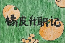 橘皮？陈皮？傻傻分不清！看完这组插画你就知道了｜上海市消保委美丽健康专业办图片