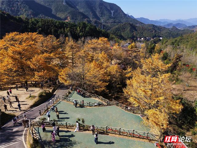 【每日一图@湖南】在永州桐子坳，我找到了最动人的浪漫