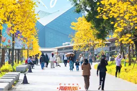 深圳龙岗，黄金时代！图片