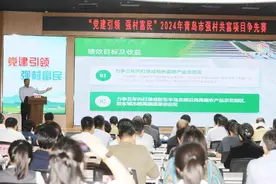 青岛：2000万元乡村振兴补助资金如何分配？登台竞争！图片