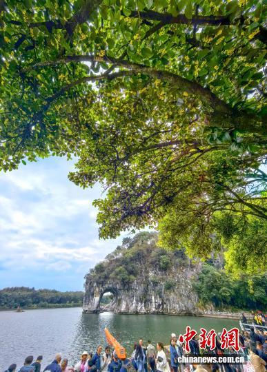 桂花香满桂林城
