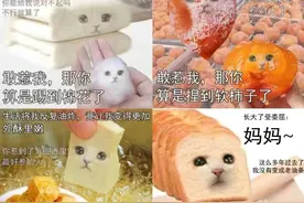 新词|窝囊废文学：另一种以退为进的生活姿态图片