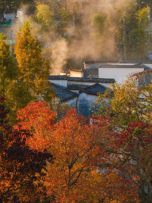 11月最应该去哪里旅行？