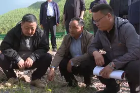 杨武在临潭县察看暴雨冰雹灾情并调研指导绿色矿山 道路交通项目建设工作图片