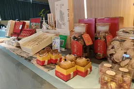 广东新会：新质生产力赋能陈皮文化破圈图片