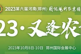 “向上”看河南特色产业之卢氏篇：菌果蜜药，展“卢”风采 | 2023·又逢农博会图片