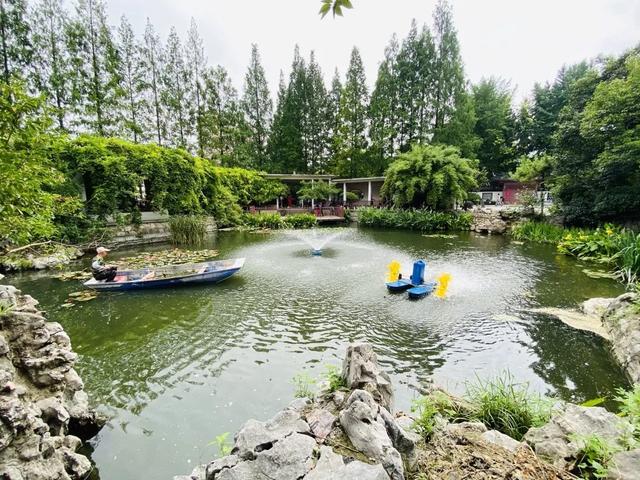 起风了！走，逛公园去！