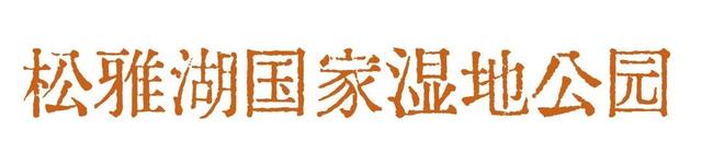 接下来的星沙也太好拍了吧！