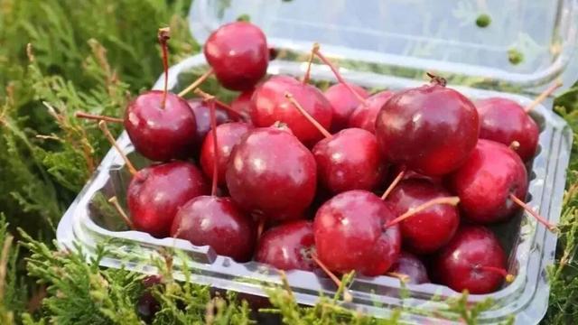 今年的玩法竟然这么多！是时候来呼和浩特过大年了