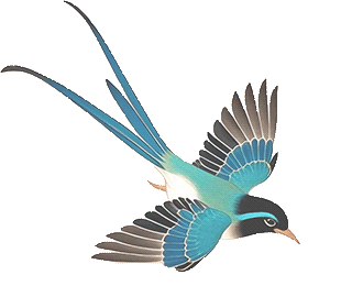 “史上最严”新国标来了！今起，全国禁售！