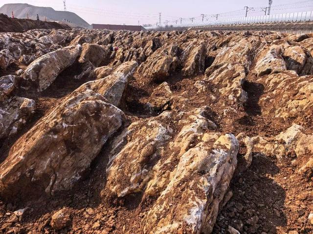 山东宁阳高铁施工挖出“石海”吸引众多游客 当地已启动专业鉴定