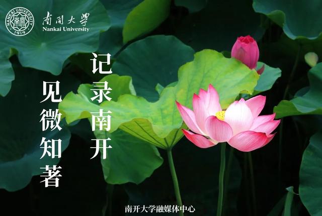 “荷”尔蒙爆表，这夏可好了！