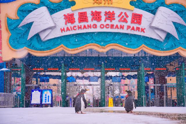 河南文旅雪后盛景：银装素裹绘就“一半仙境，一半人间”画卷