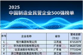 营收8715亿元！江苏民企恒力集团拿下中国制造业民营企业TOP1图片
