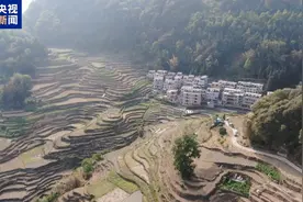 广西河池持续旱情影响7万亩农田多部门紧急送水保民生图片