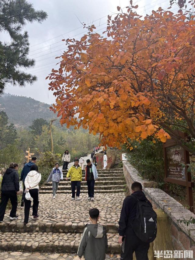 登山路上，秋意十足