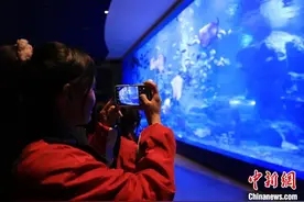青海藏乡学子化身“驯养师”感受海洋生物习性图片