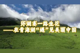 环湖赛一路生花——在青海湖遇见美丽中国图片