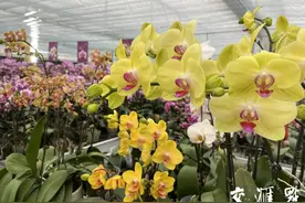 新春走基层图片