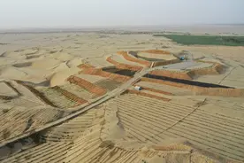 英媒：中国“绿色长城”治沙成效显著图片