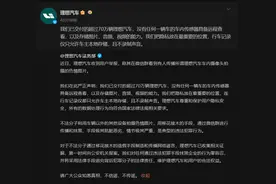 环球智驾：理想汽车就车内摄像头拍摄不雅照传闻发表声明：谣言，已报案图片