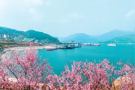 “春游经济”热度持续攀升图片