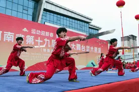 博爱县：“武林风”劲吹“中国武术之乡”图片